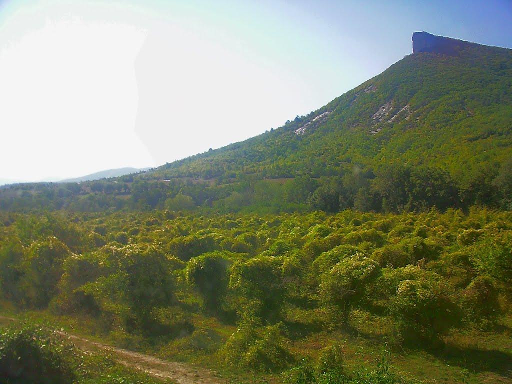 Куйбишеве з panoramio.com (ч.2) - Куйбышево