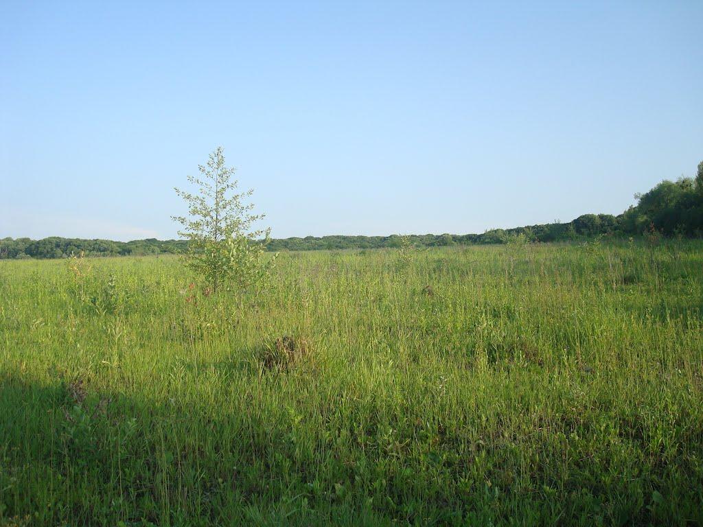 Хмельницький з panoramio.com (ч.13) - Хмельницкий