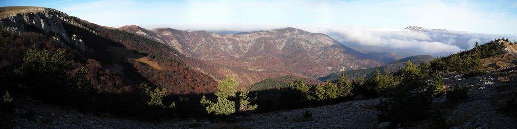 Розовий з panoramio.com (ч.2) - Розовий