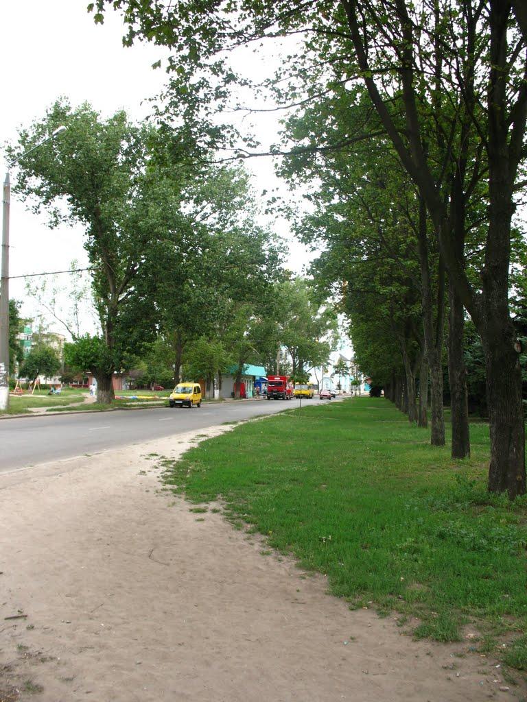 Логачівка з panoramio.com - Логачівка