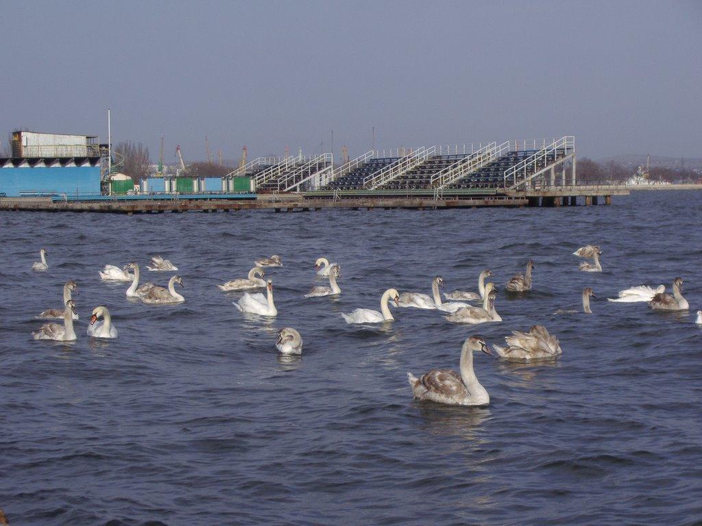 Керч з panoramio.com (ч.4) - Керчь