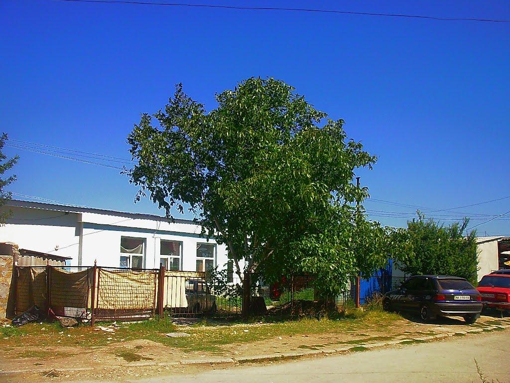 Піщане з panoramio.com - Піщане