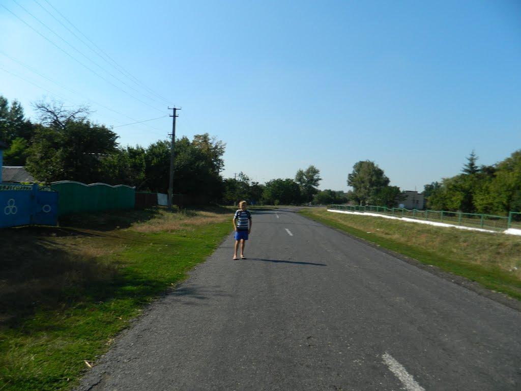 Степанівка з panoramio.com - Степановка