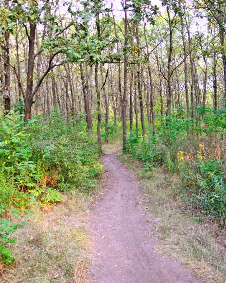 Кривий Ріг з panoramio.com (ч.9) - Кривой Рог