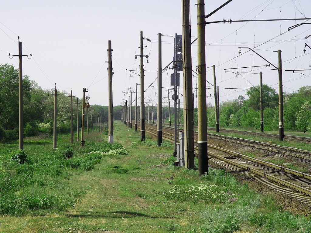 Комуна з panoramio.com - Комуна