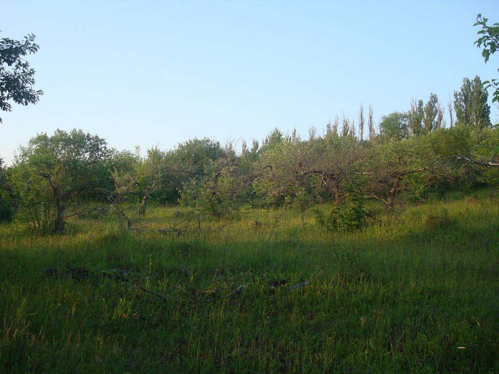 Хмельницький з panoramio.com (ч.13) - Хмельницкий