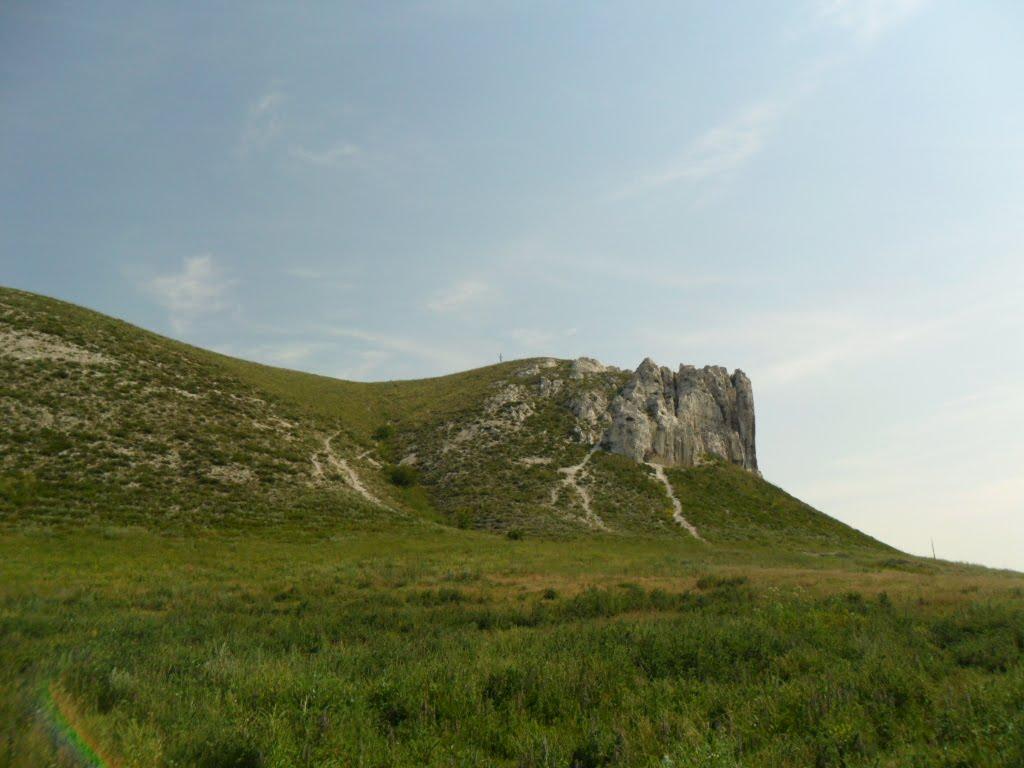 Білокузьминівка з panoramio.com - Білокузьминівка