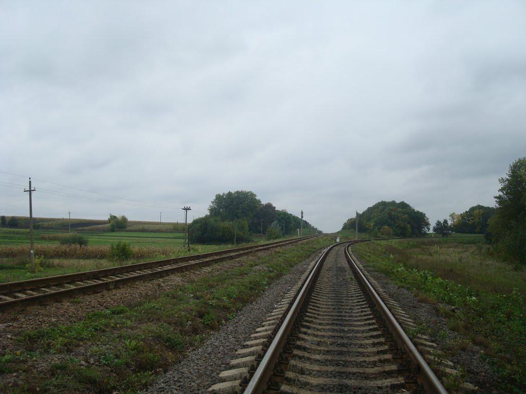 Воронківці з panoramio.com - Воронківці