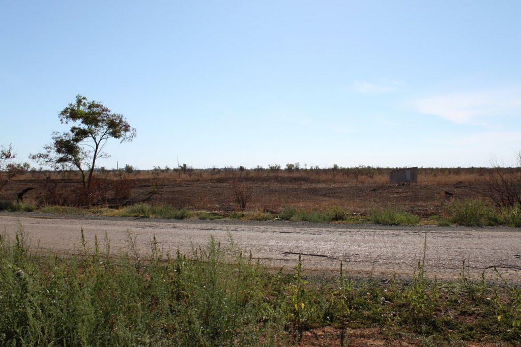 Миколаївка з panoramio.com - Миколаївка