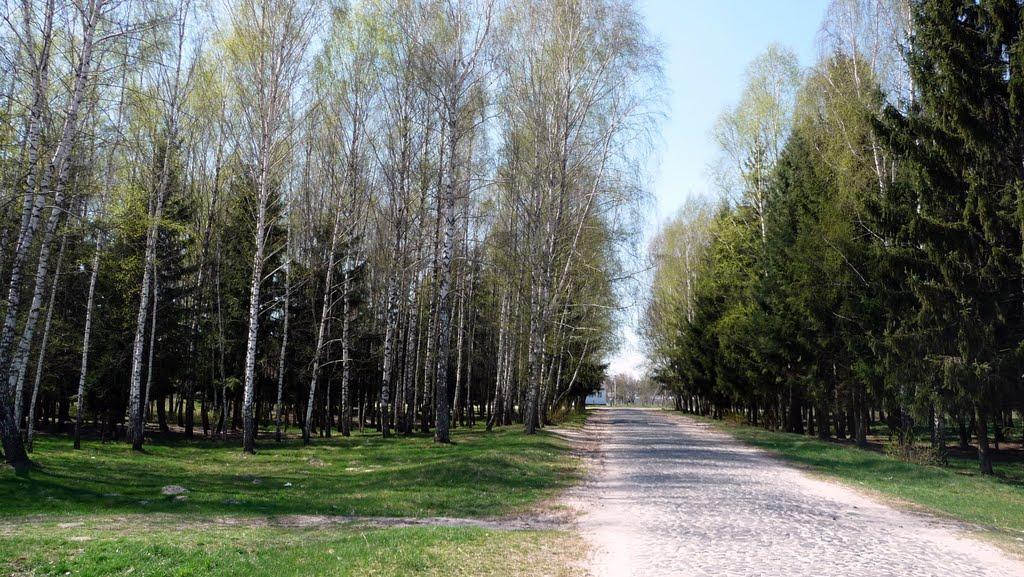 Совпа з panoramio.com - Совпа