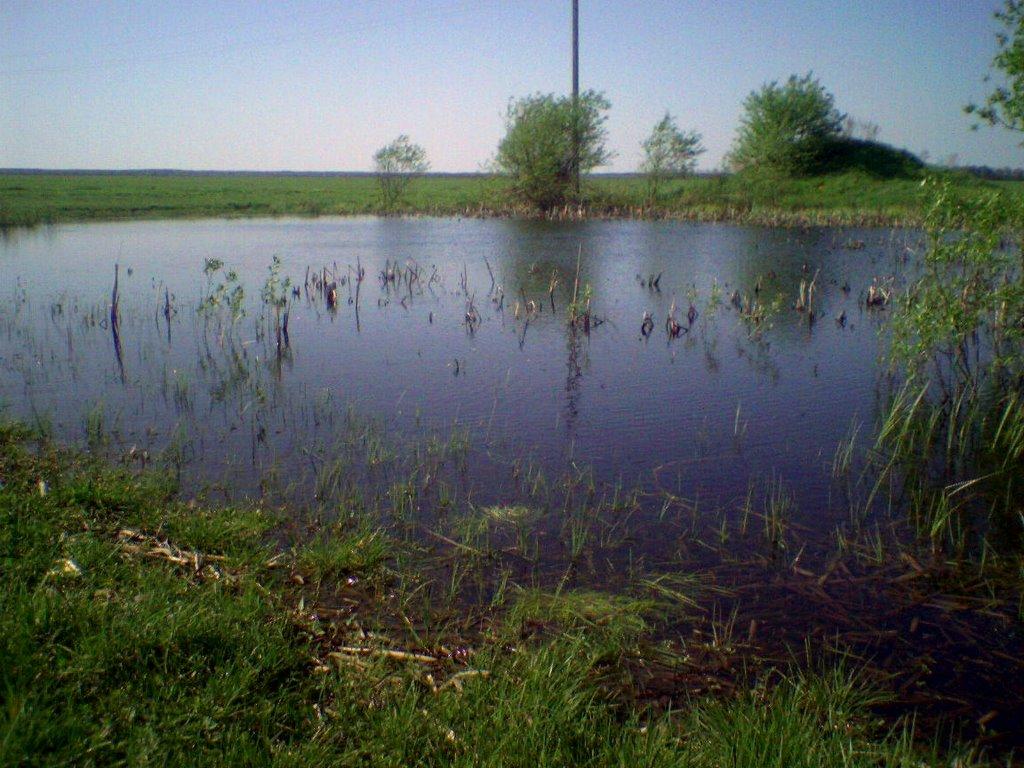 Жадове з panoramio.com - Жадове