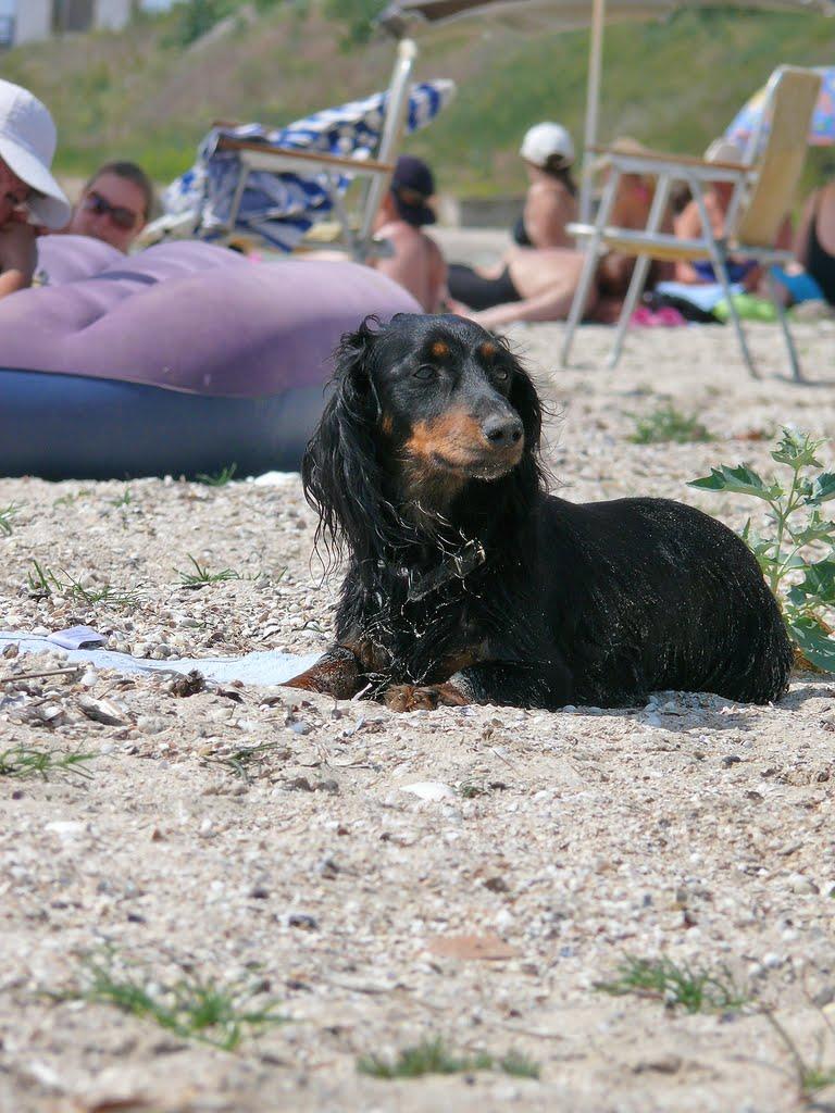 Приморський Посад з panoramio.com - Приморський Посад