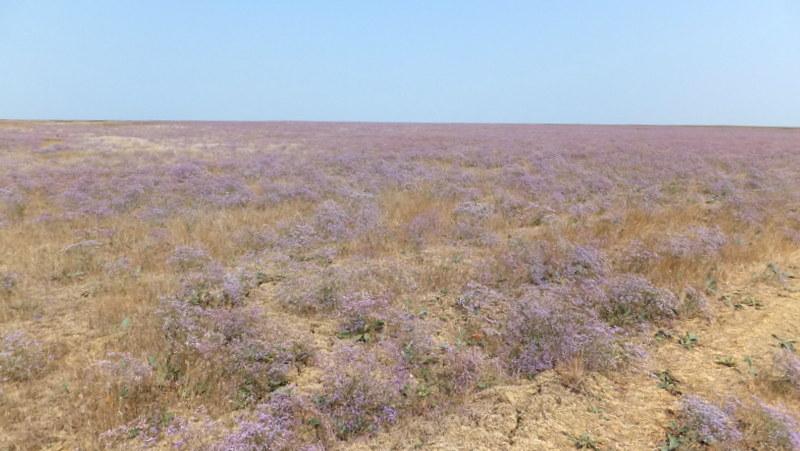 Прудникове з panoramio.com - Прудникове