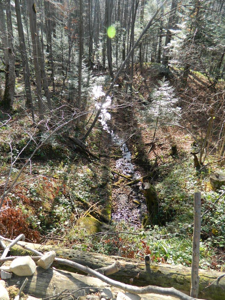 Борислав з panoramio.com - Борислав