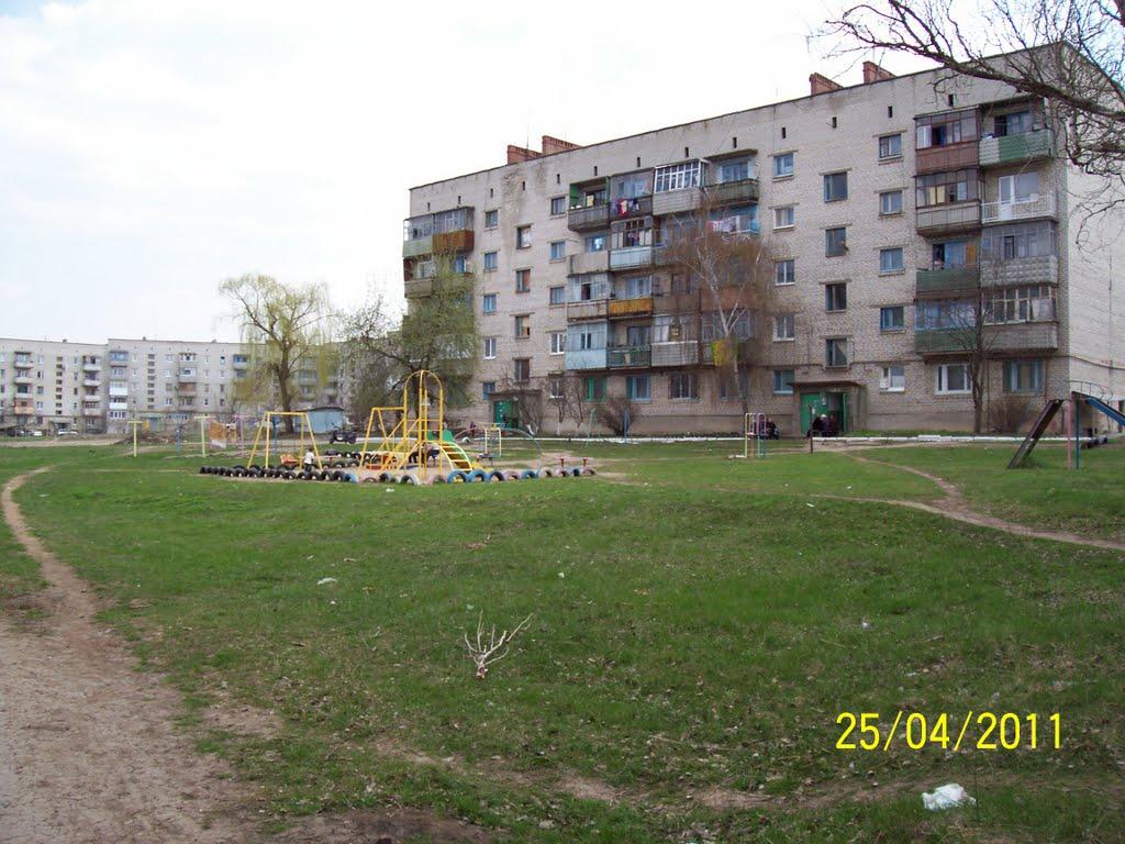 Миколаївка з panoramio.com (ч.2) - Николаевка