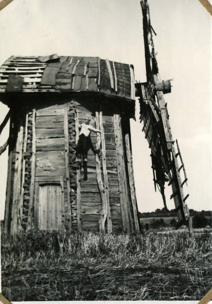 П'ятигірці з panoramio.com - Пятигорцы