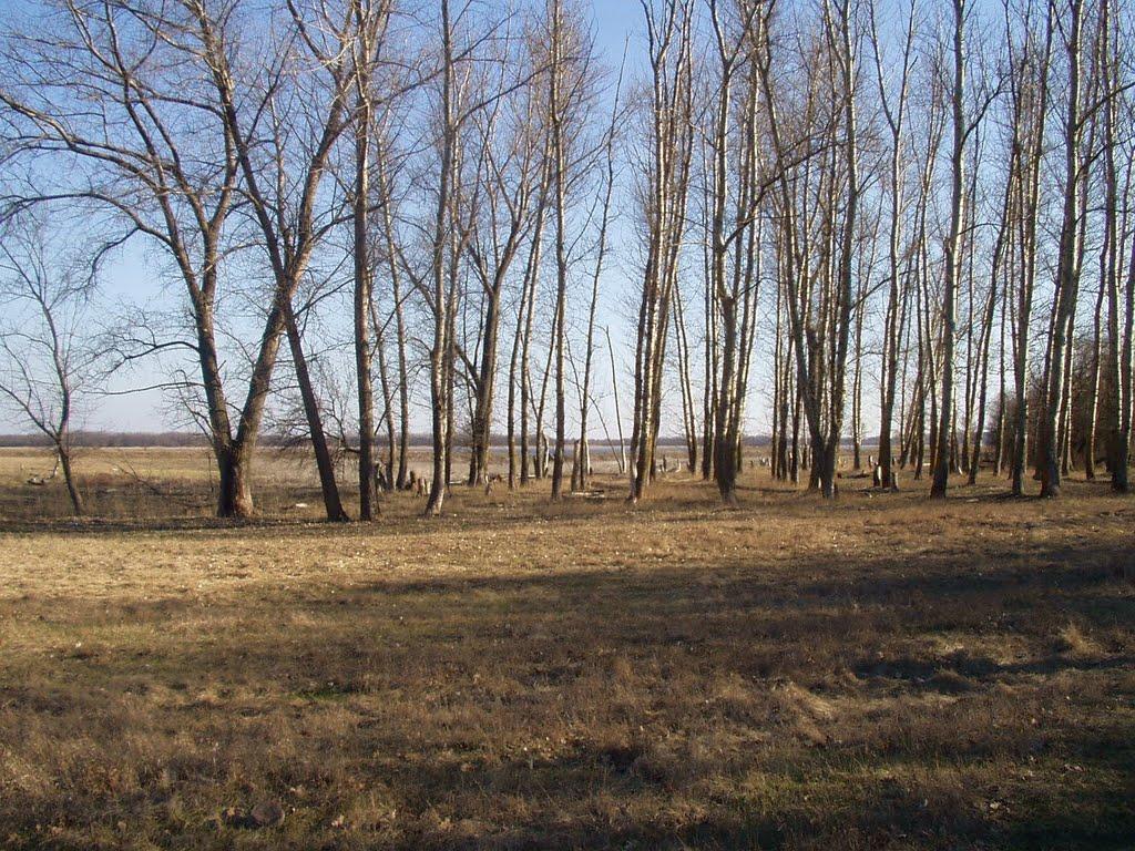 Миколаївське з panoramio.com - Миколаївське