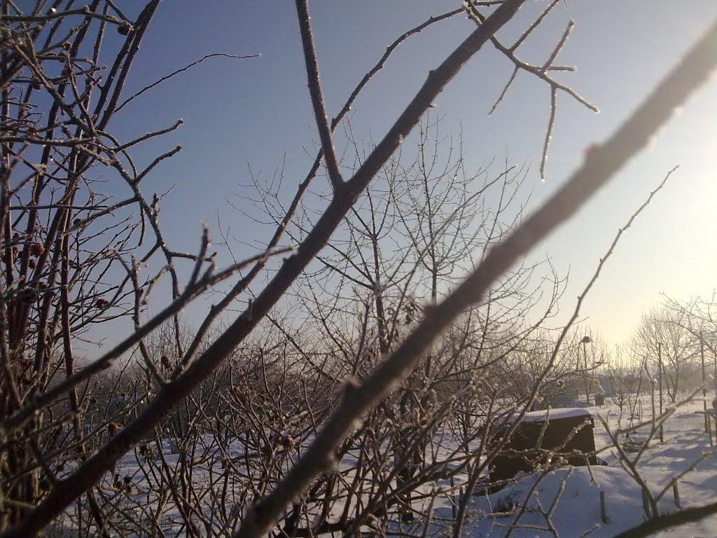 Станично-Луганське з panoramio.com (ч.2) - Станично-Луганское