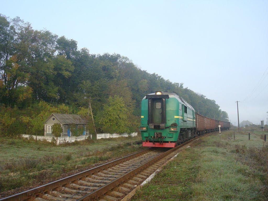 Лісогірка з panoramio.com - Lisogirka