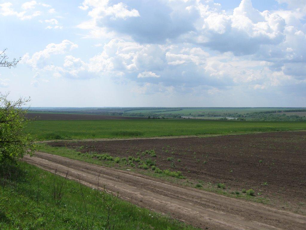 Губник з panoramio.com - Губник