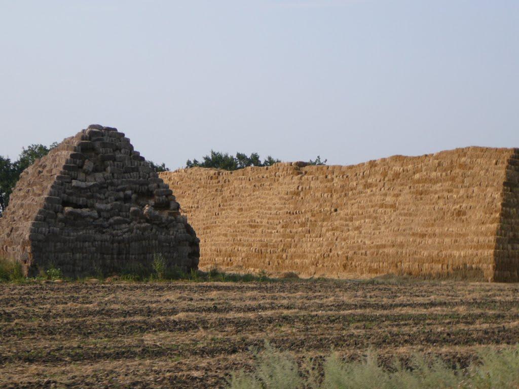 Романова Балка з panoramio.com - Romanova Balka