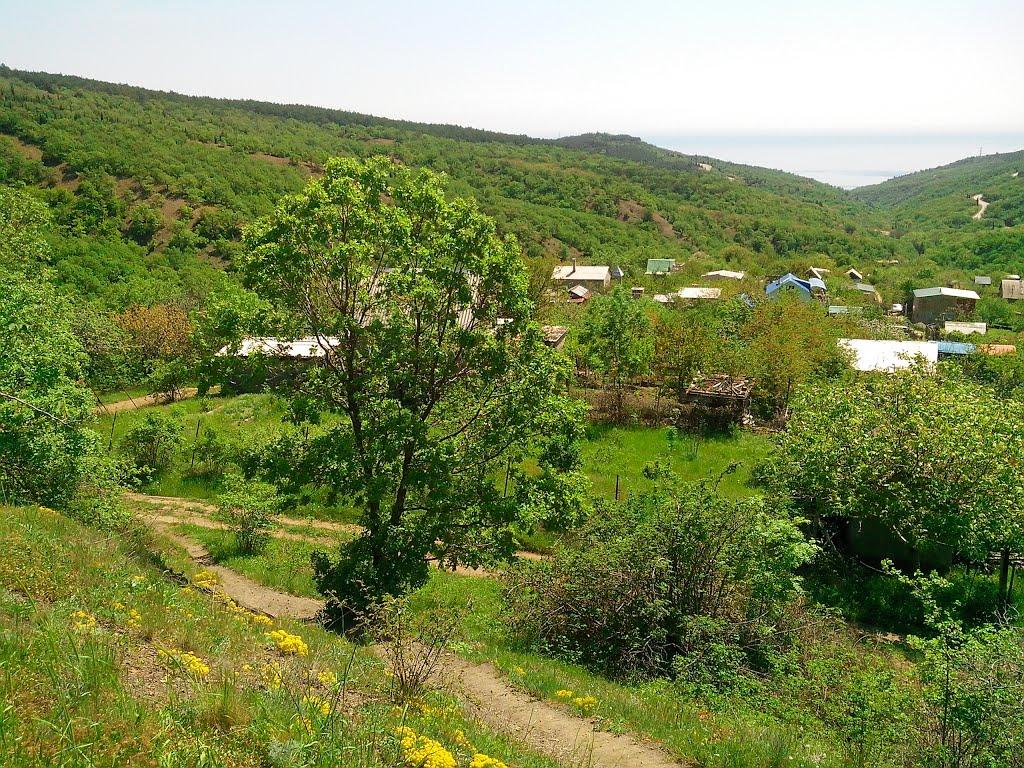 Семидвір'я з panoramio.com - Семидвір'я