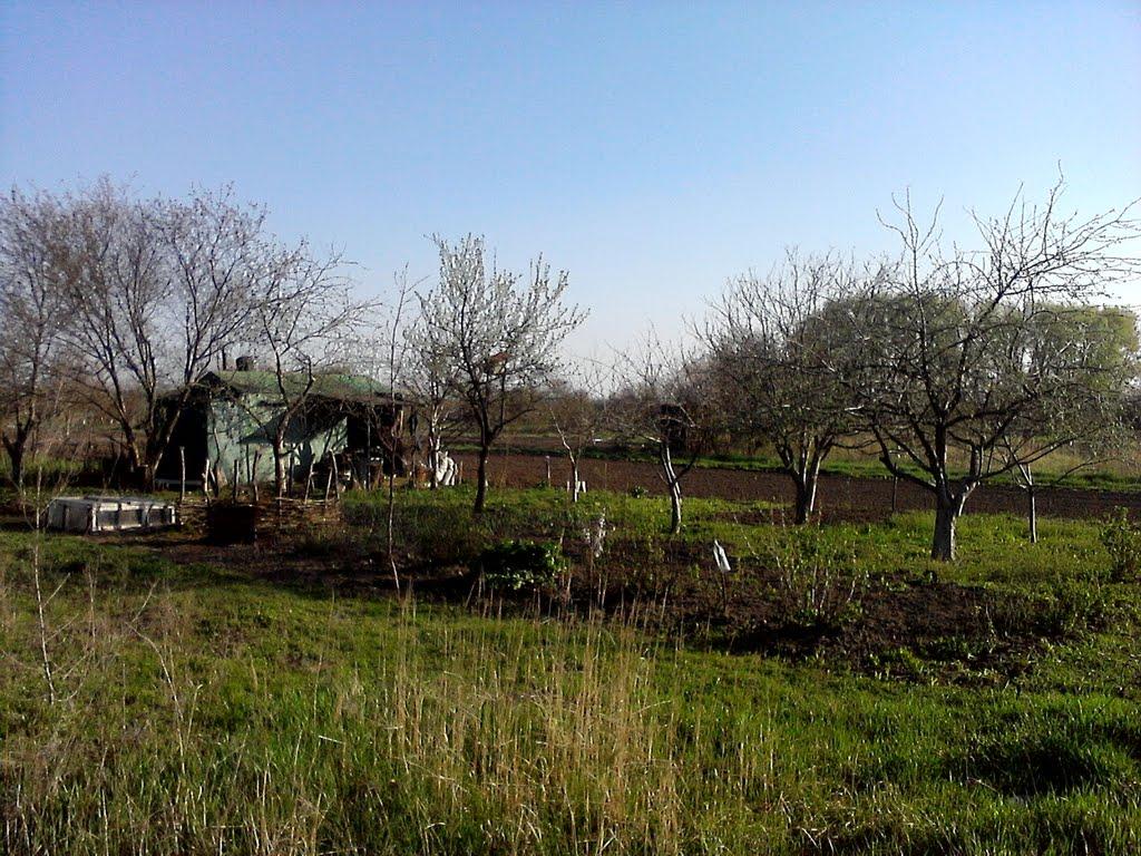 Куликівка з panoramio.com - Куликівка