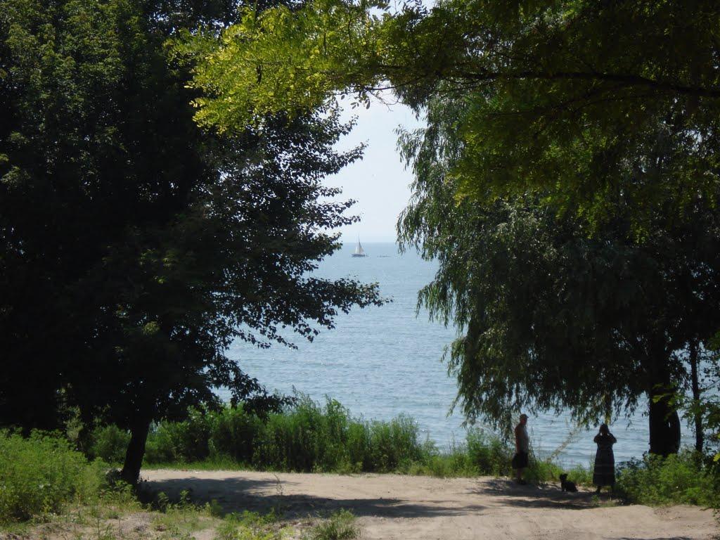 Вереміївка з panoramio.com - Вереміївка