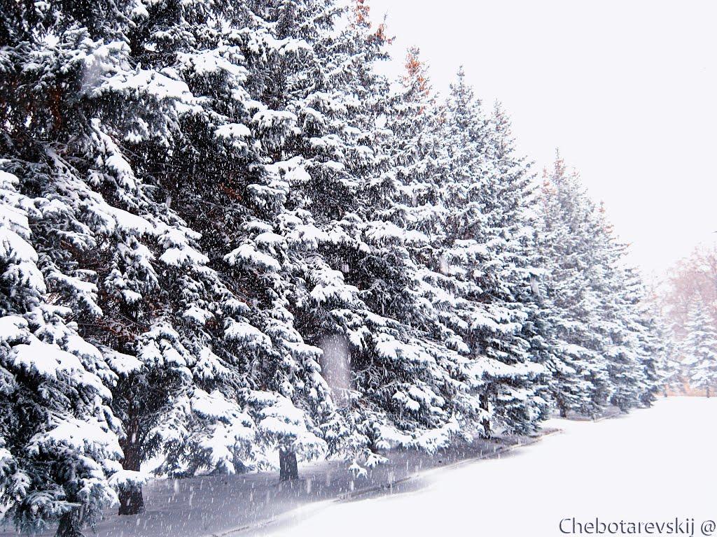 Зугрес з panoramio.com (ч.2) - Зугрес