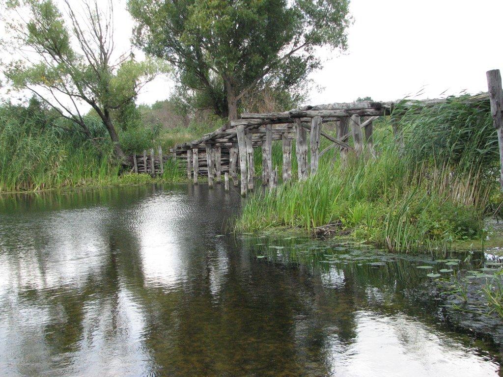 Хитці з panoramio.com - Хитці