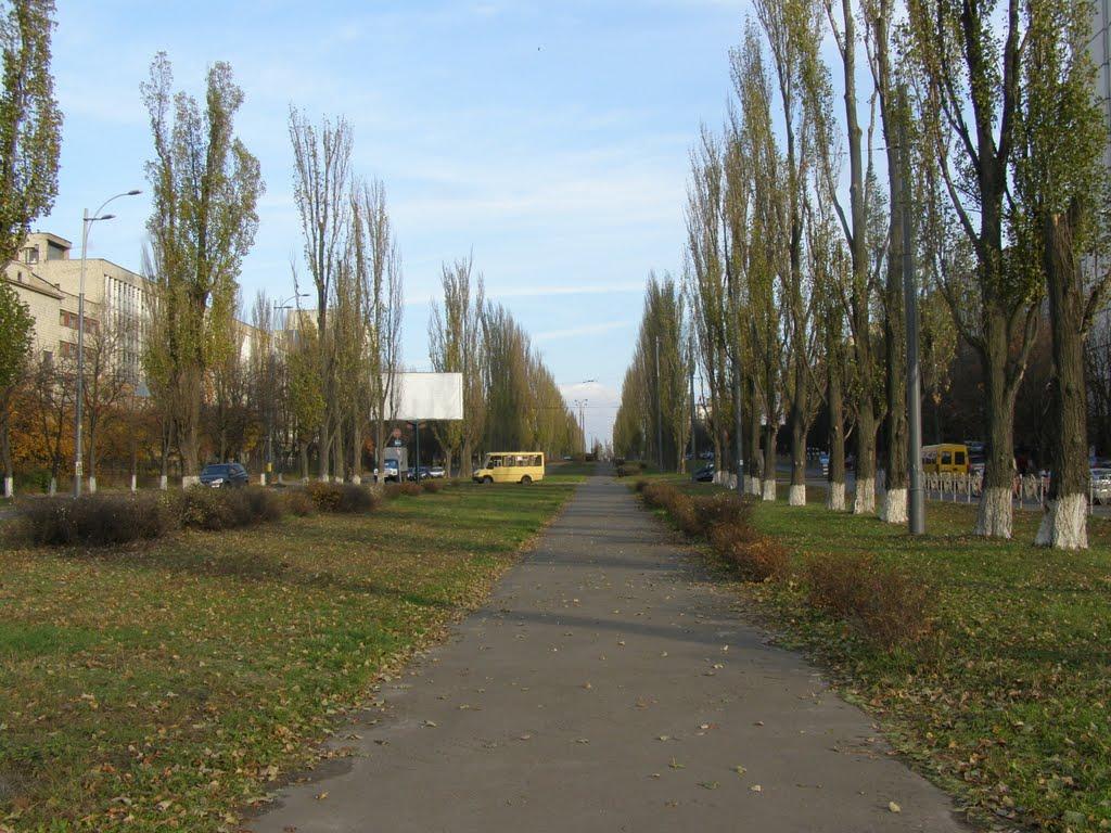 Коцюбинське з panoramio.com (ч.3) - Коцюбинское