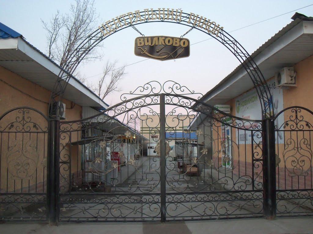 Вилкове з panoramio.com (ч.2) - Вилкове