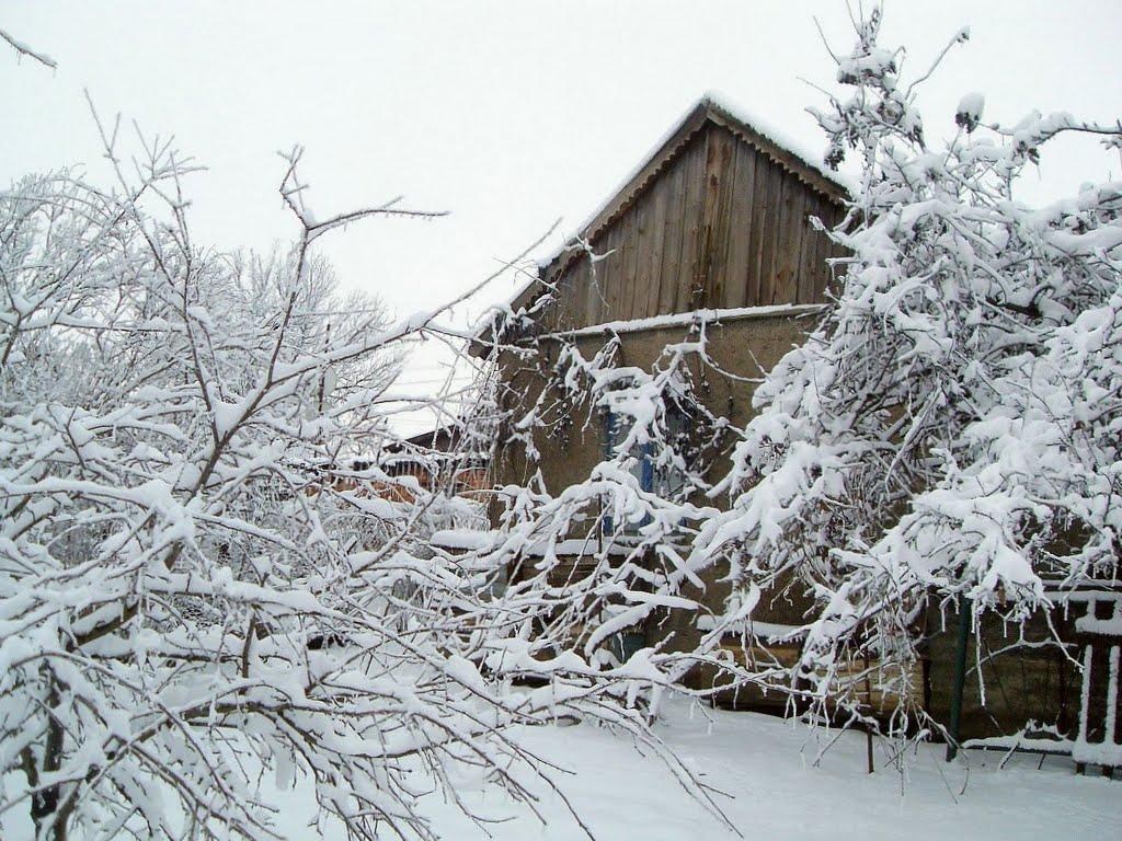 Доманівка з panoramio.com - Domanivka