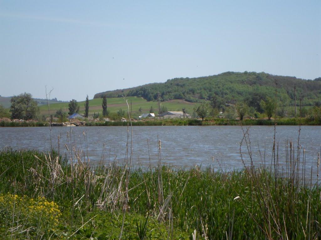 Могилівка з panoramio.com - Могилівка