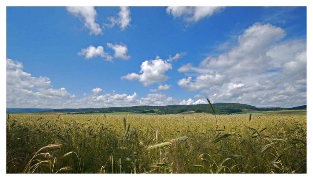 Трушевичі з panoramio.com - Трушевичі