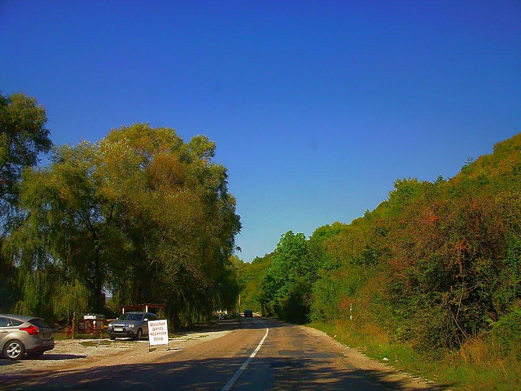 Залісне з panoramio.com (ч.2) - Залесное