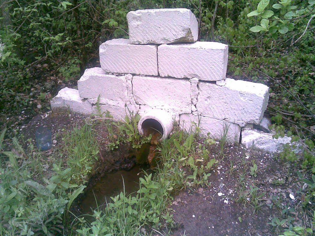 Научний з panoramio.com - Научний