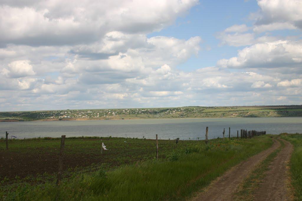 Берегове з panoramio.com - Береговое