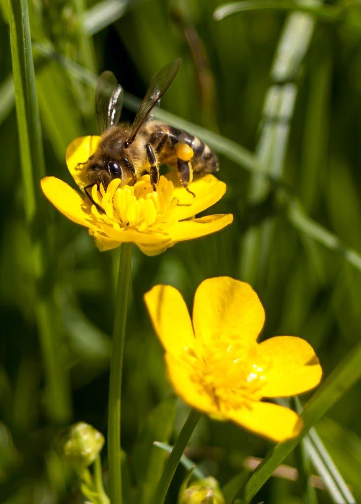 Рівне з panoramio.com (ч.5) - Рівне