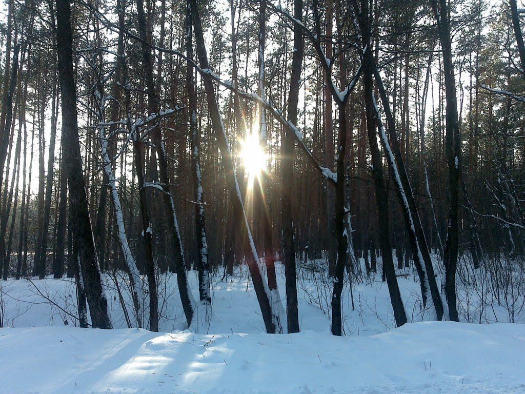 Богородичне з panoramio.com - Богородичне