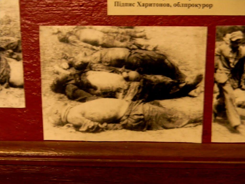 Золочів з panoramio.com - Золочев