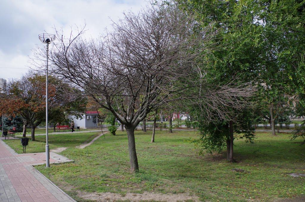 Нікополь з panoramio.com (ч.2) - Нікополь