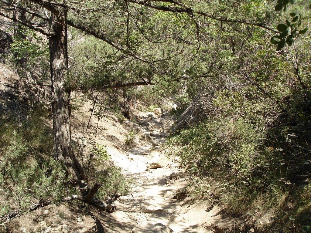 Новий Світ з panoramio.com (ч.4) - Новий Світ
