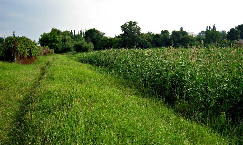 Кривий Ріг з panoramio.com (ч.9) - Кривий Ріг