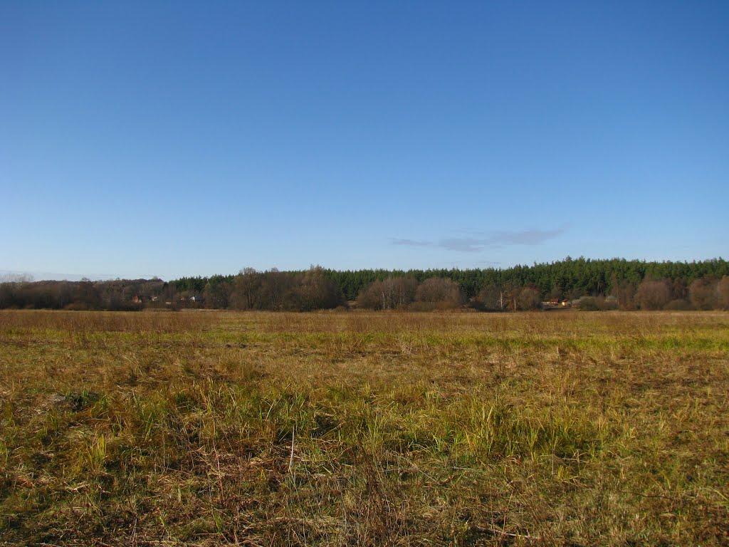 Троянівка з panoramio.com - Троянівка