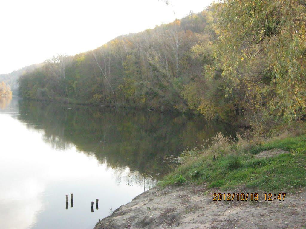 Богородичне з panoramio.com - Богородичне