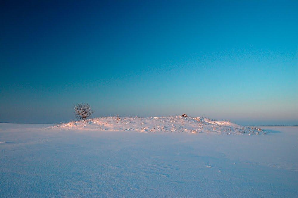 Скалівські Хутори з panoramio.com - Skalivski Khutory