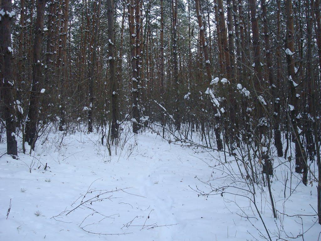Хмельницький з panoramio.com (ч.13) - Хмельницкий