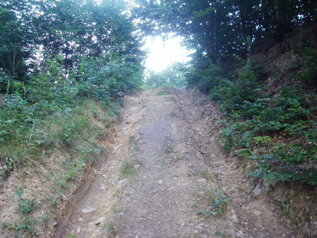 Красна з panoramio.com - Красна