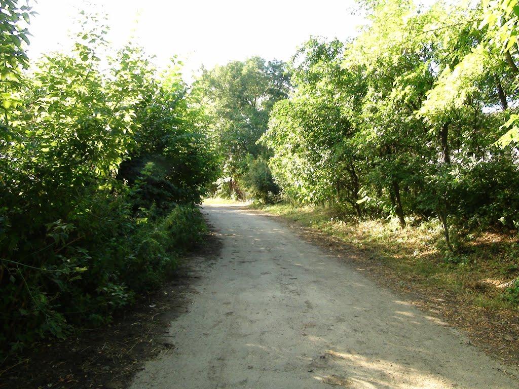 Андрушівка з panoramio.com - Андрушівка